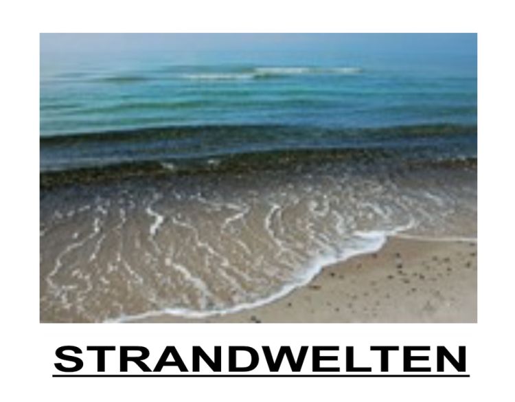 Strandwelten - eine Ausstellung im Frauentreff Sundine